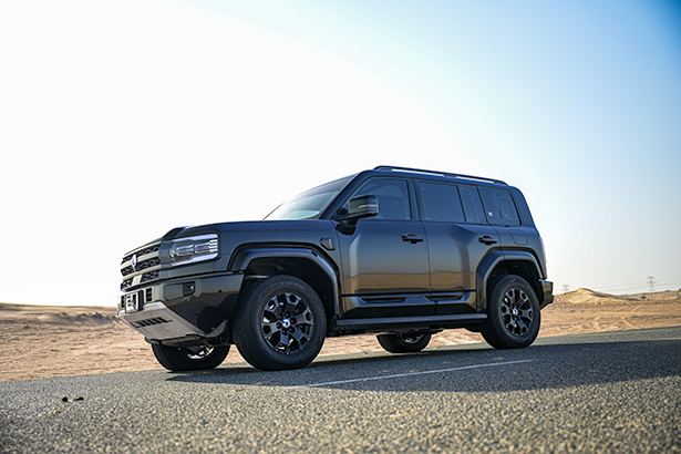 Illustration for this review section